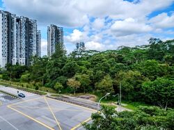 Dairy Farm Residences (D23), Apartment #553879701